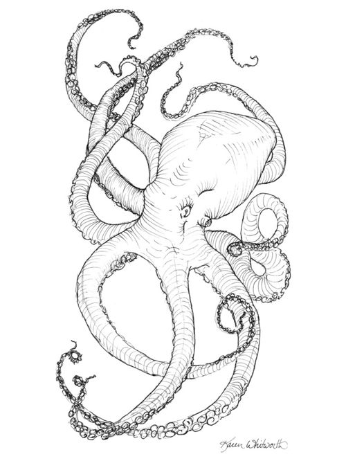 500x666 Underwater Ocean Drawings