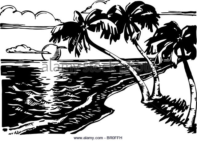 640x458 Ocean Palm Trees Sunrise Black And White Stock Photos Amp Images