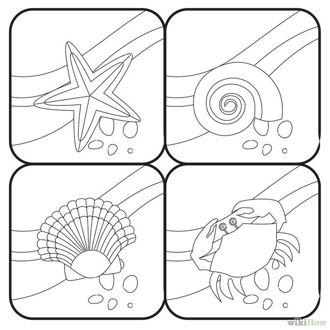 670x670 How To Draw Beach Animals 13 Steps (With Pictures)