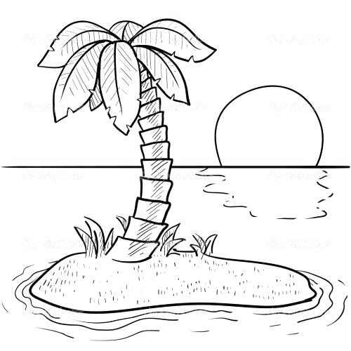 500x500 Date Palm Tree Coloring Pages Line Drawing Page Best Coloring