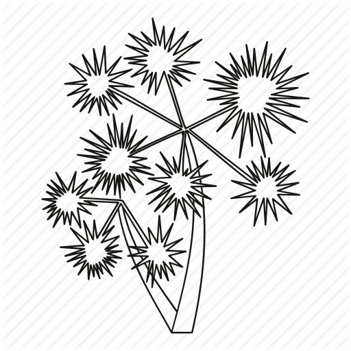 512x512 Beach, Line, Nature, Outline, Palm, Prickly, Summer Icon Icon