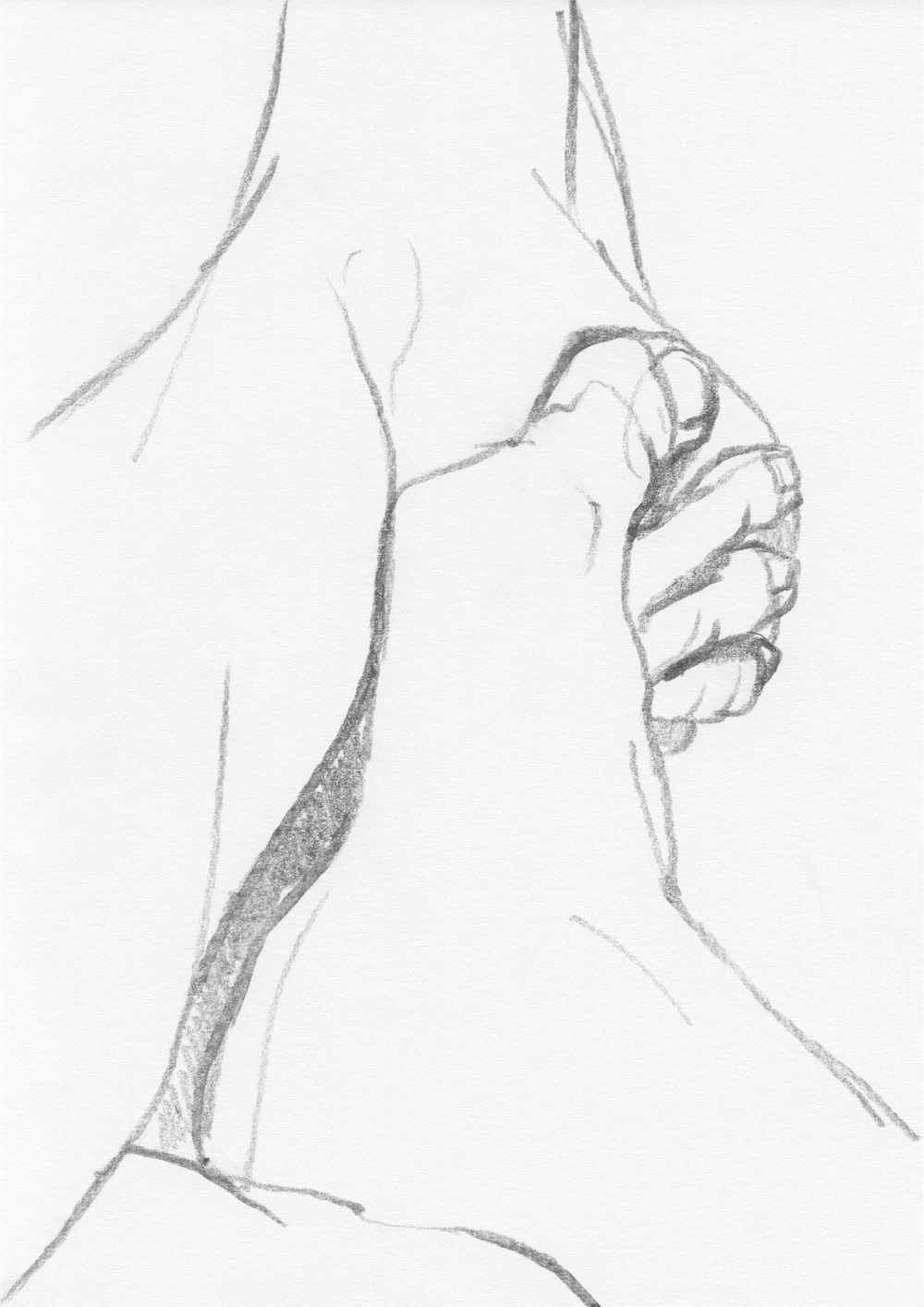 1000x1415 Sketches Pencil Drawings The Art Of Anna Maria Karolak