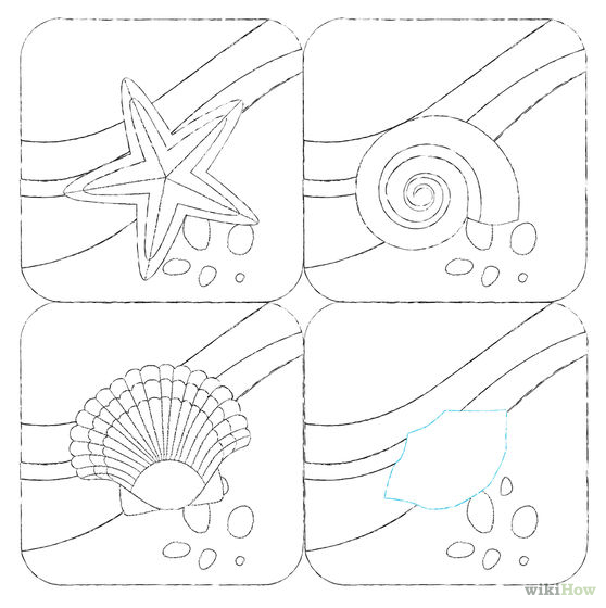 558x560 Draw Beach Animals Drawings