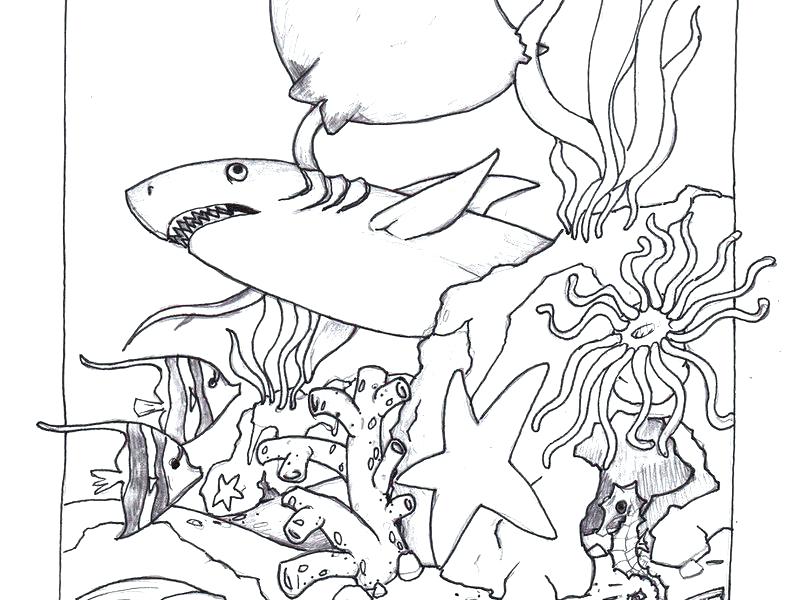 785x600 Ocean Scene Coloring Page Ocean Scene Coloring Page Underwater
