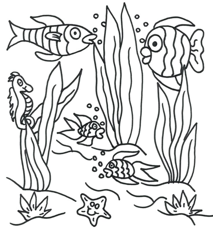 736x811 Ocean Scene Coloring Page Under The Sea Colouring Pages Free