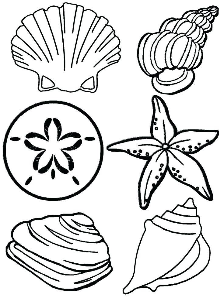 736x981 This Is Beach Coloring Pages Images Summer Beach Coloring Pages