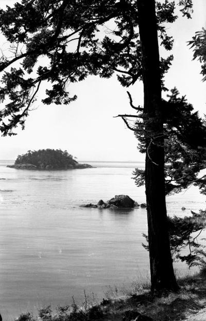 720x1123 From The Archives Classic Photo Of Rosario Beach From Our Corner