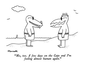 300x229 On The Beach Drawings Fine Art America