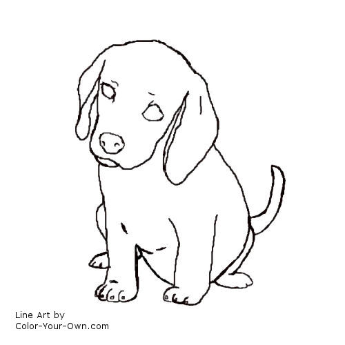 500x500 Beagle Puppy Line Art Dog Patterns Dog Pattern