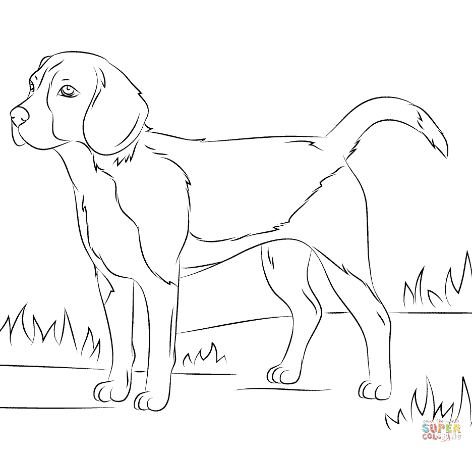 936x895 Beagle Dog Coloring Page Free Printable Coloring Pages