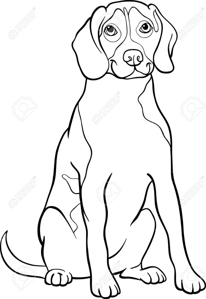 708x1024 Black And White Dog Drawing Black And White Cartoon Illustration