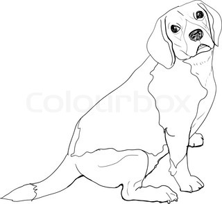 320x295 Vector Sketch Dog Beagle Breed Stock Vector Colourbox