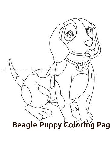364x470 Beagle Puppy Drawing