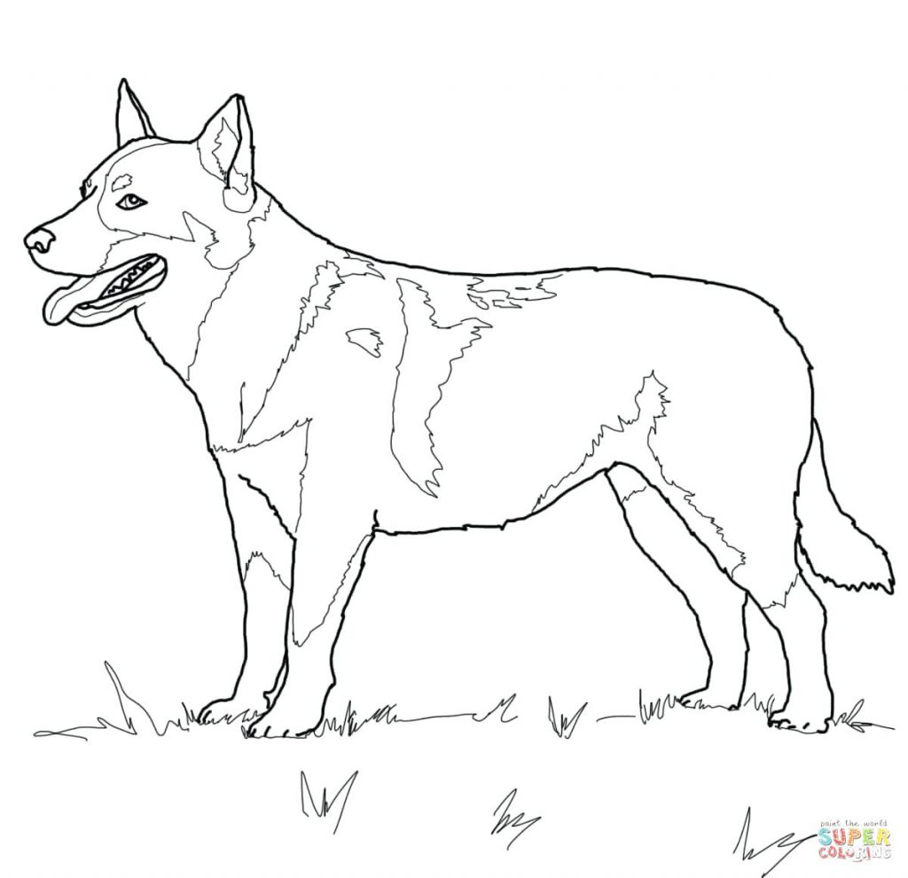 1024x990 Coloring Page ~ Beagle Coloring Pages Puppy Draw A Me
