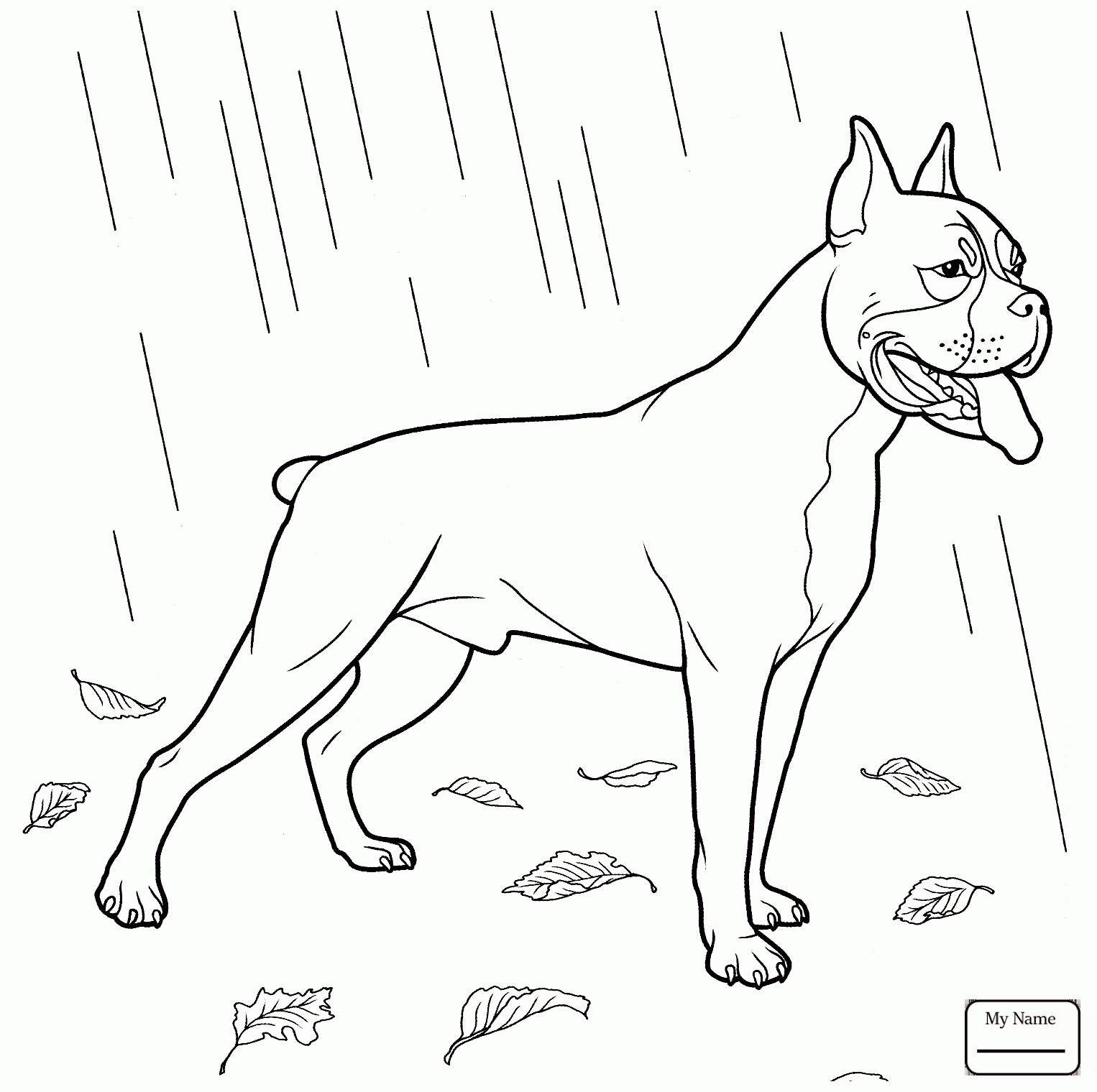 1526x1520 Coloring Pages For Kids Beagle Dog Dogs Mammals