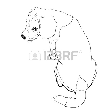 450x450 Beagle Is Sitting That Look Like She Waiting Somthing And Now