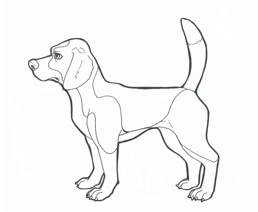 984x812 Beagle By Candybeelinearts