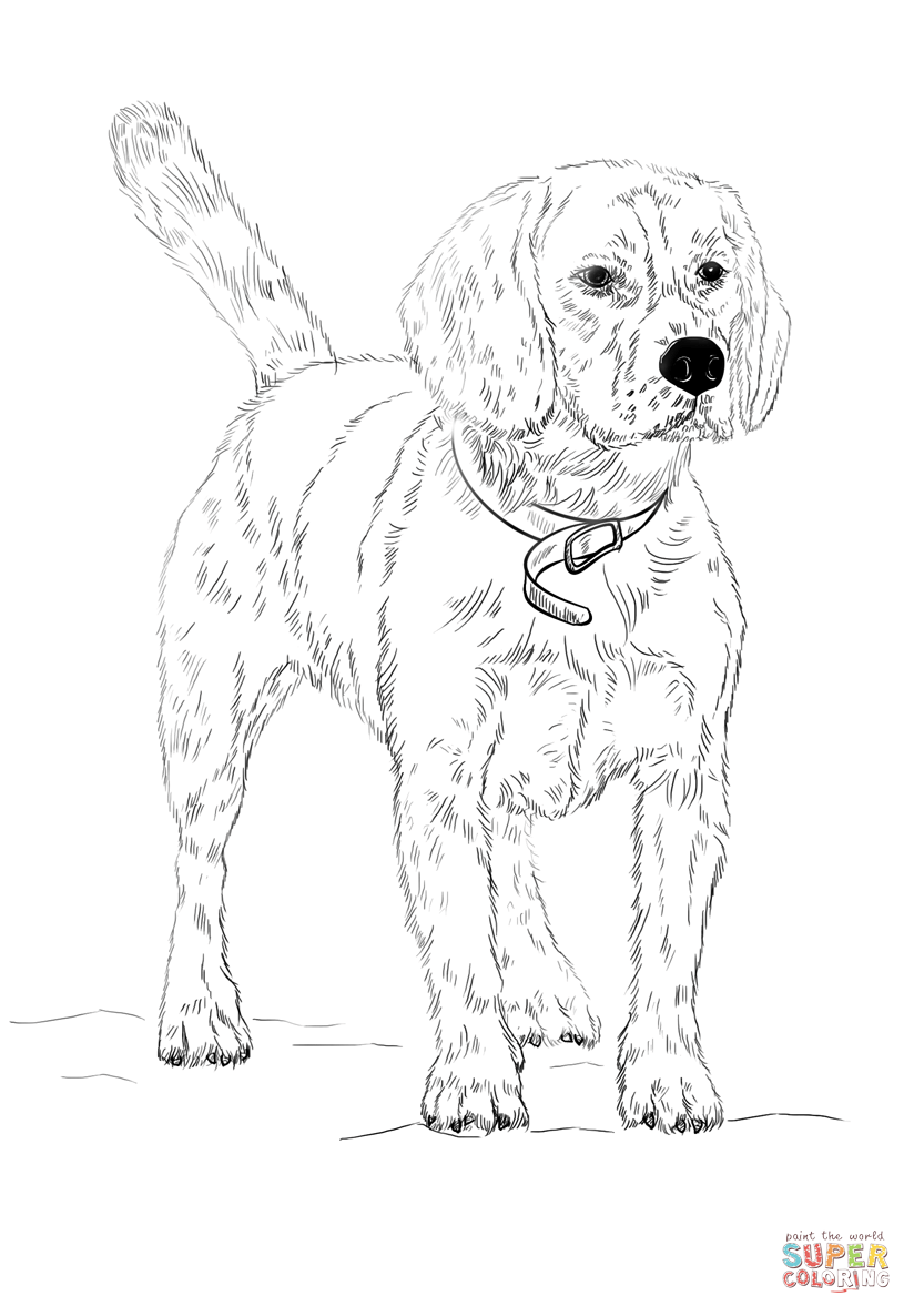 824x1186 Beagle Coloring Page Free Printable Coloring Pages