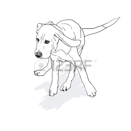 450x450 Drawing Of Running Beagle With Shadow On White Background,vector
