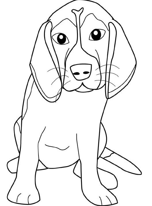 529x717 Image Result For Beagle Face Coloring Book Rabbits