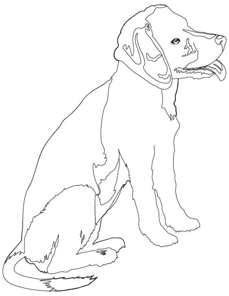 738x954 Beagle Coloring Beagle Coloring Pages To Download And Print