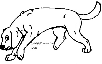 350x221 Beagle Line Art By Wolfs Hybrid