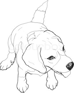 257x320 Sitting Beagle Stock Vector Colourbox