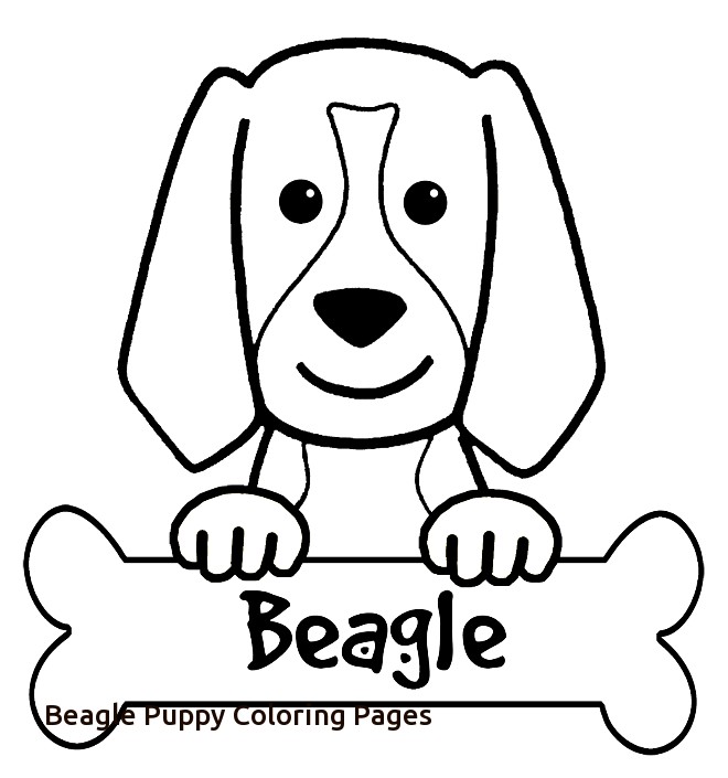 Beagle Line Drawing at GetDrawings | Free download