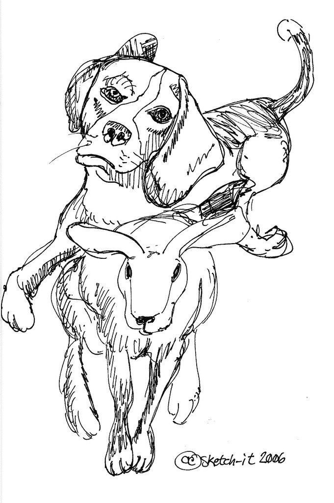 681x1024 Sketch It Beagle Chasing Rabbit