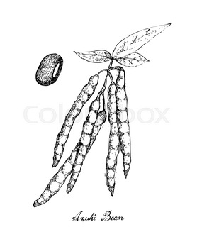 278x320 Vegetable, Illustration Background Pattern Of Hand Drawn Sketch