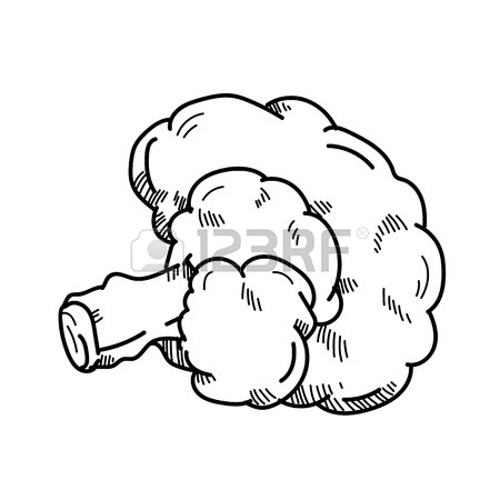 450x450 Freehand Drawing Illustration Bean Sprout. Stock Photo, Picture