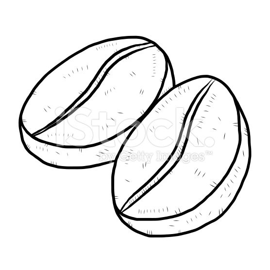 556x556 Coffee Bean Line Drawing Coffee Hit Beans And Coffee