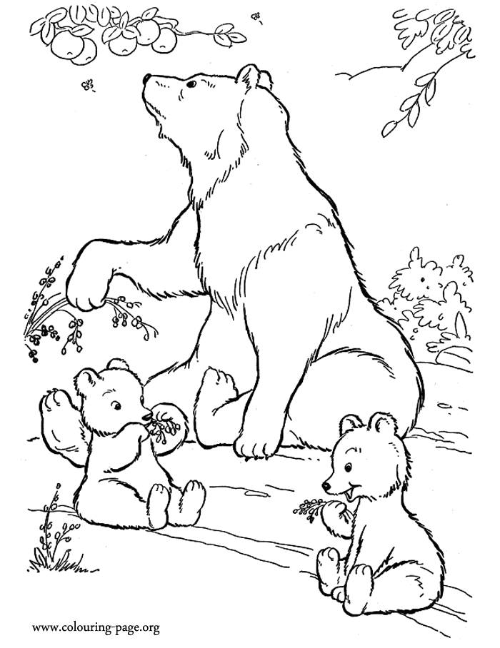 700x908 Mother Bear And Cubs Eating Fruits Coloring Page Coloring Pages
