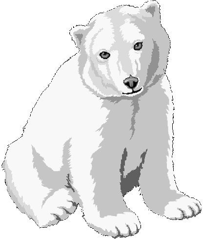 416x490 Polar Bear Cub