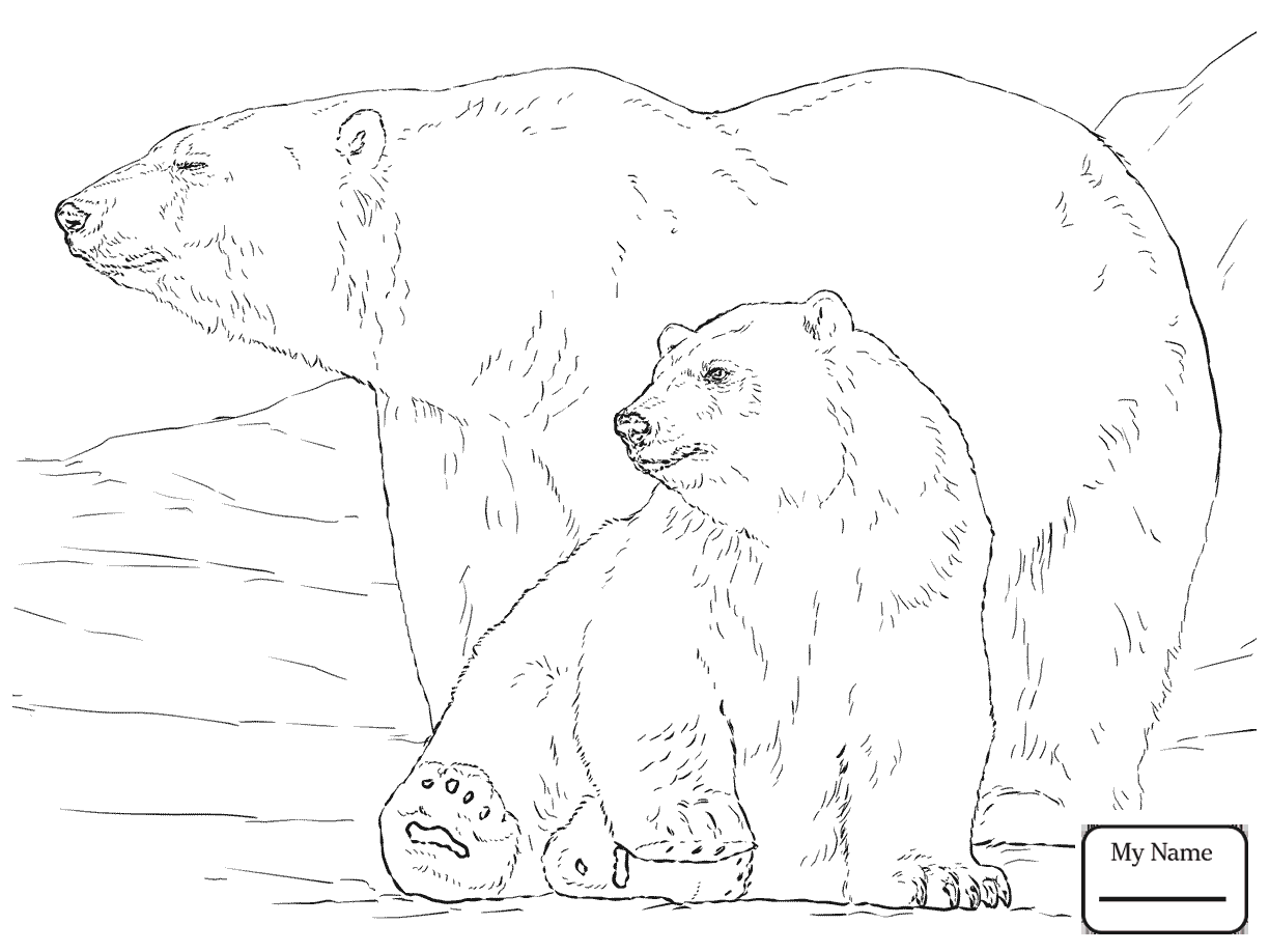 Download Bear And Cub Drawing at GetDrawings.com | Free for personal use Bear And Cub Drawing of your choice