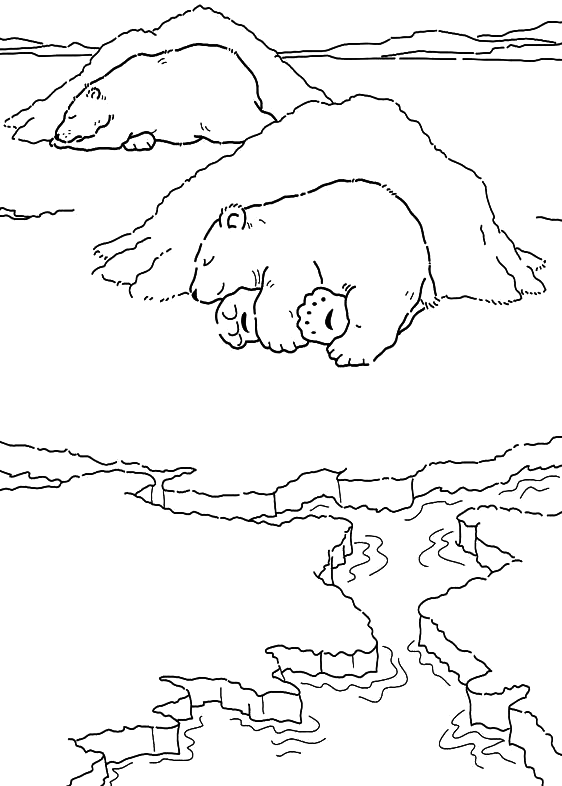 562x786 Coloring Polar Bears Nap Picture