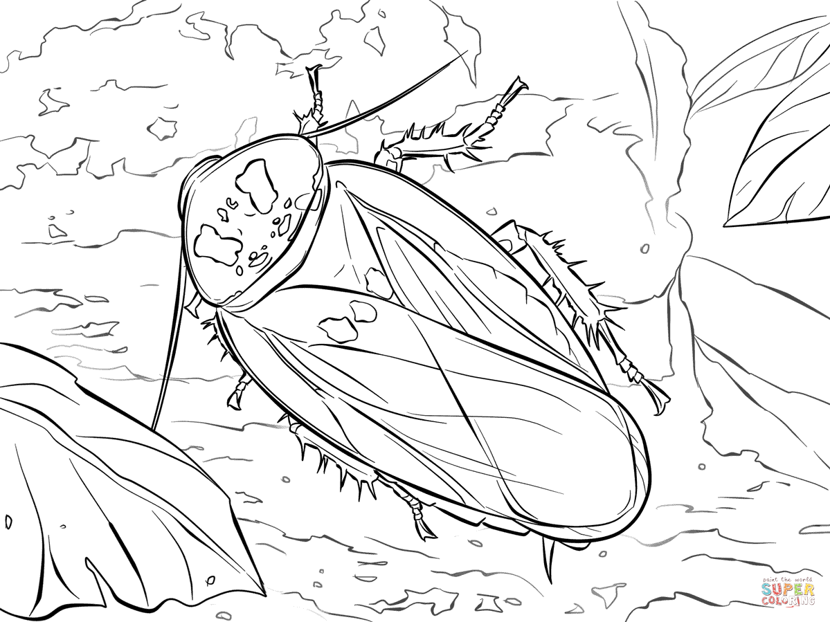 1199x899 Bat Cave Cockroach Coloring Page Free Printable Coloring Pages