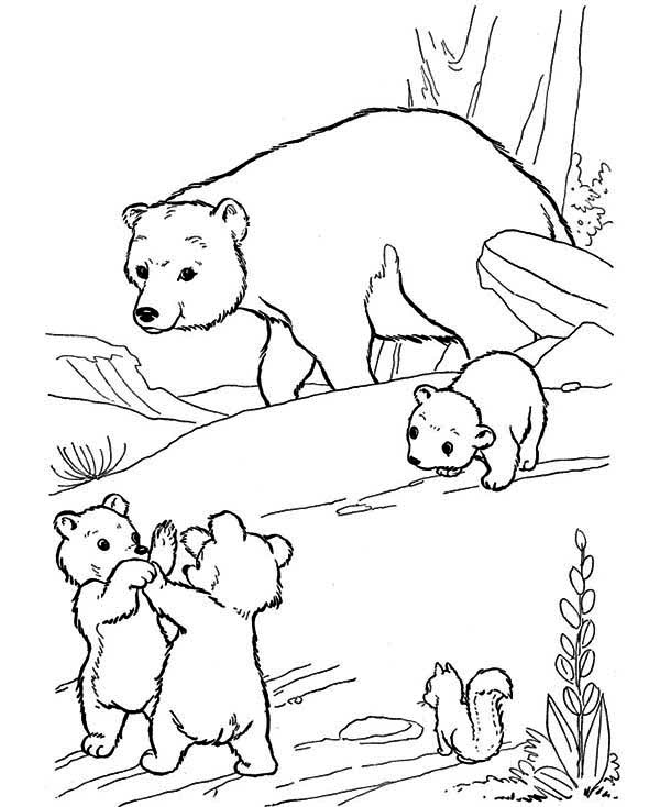 600x734 Coloring Pages Elegant Coloring Pages Draw A Polar Bear Coloring