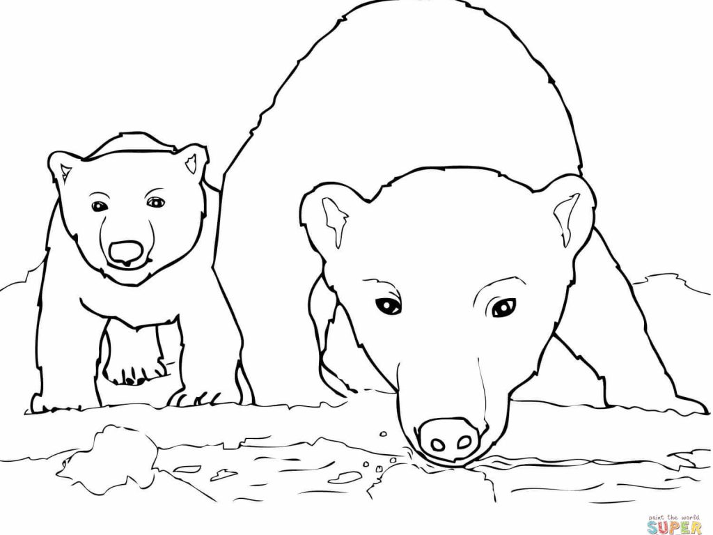 1024x768 Download Coloring Pages Draw A Polar Bear