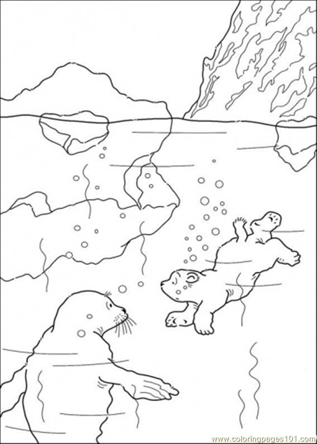 650x912 Polar Bear Coloring Sheet Is Swimming Page The Little