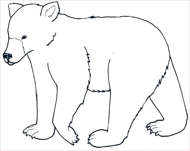 618x491 Polar Bear Cub Sleeping On Mothers Back Adult Coloring Page Free