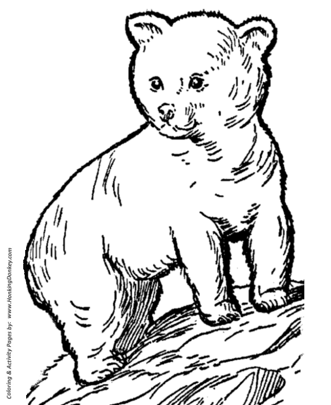 670x820 Wild Animal Coloring Pages Young Bear Cub Coloring Page And Kids