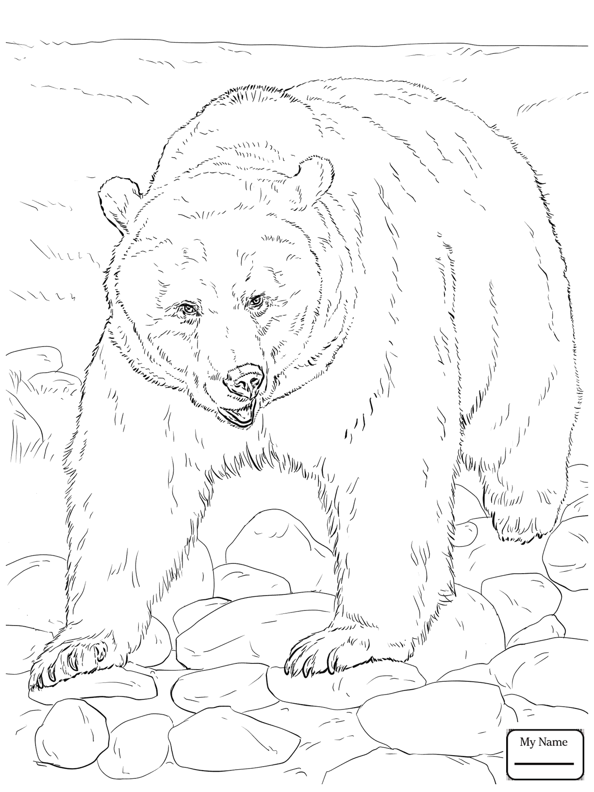 1224x1632 Brown Bears Mammals Cartoon Brown Bear Coloring Pages For Kids