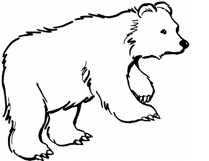 678x524 Cute Bear Coloring Pages