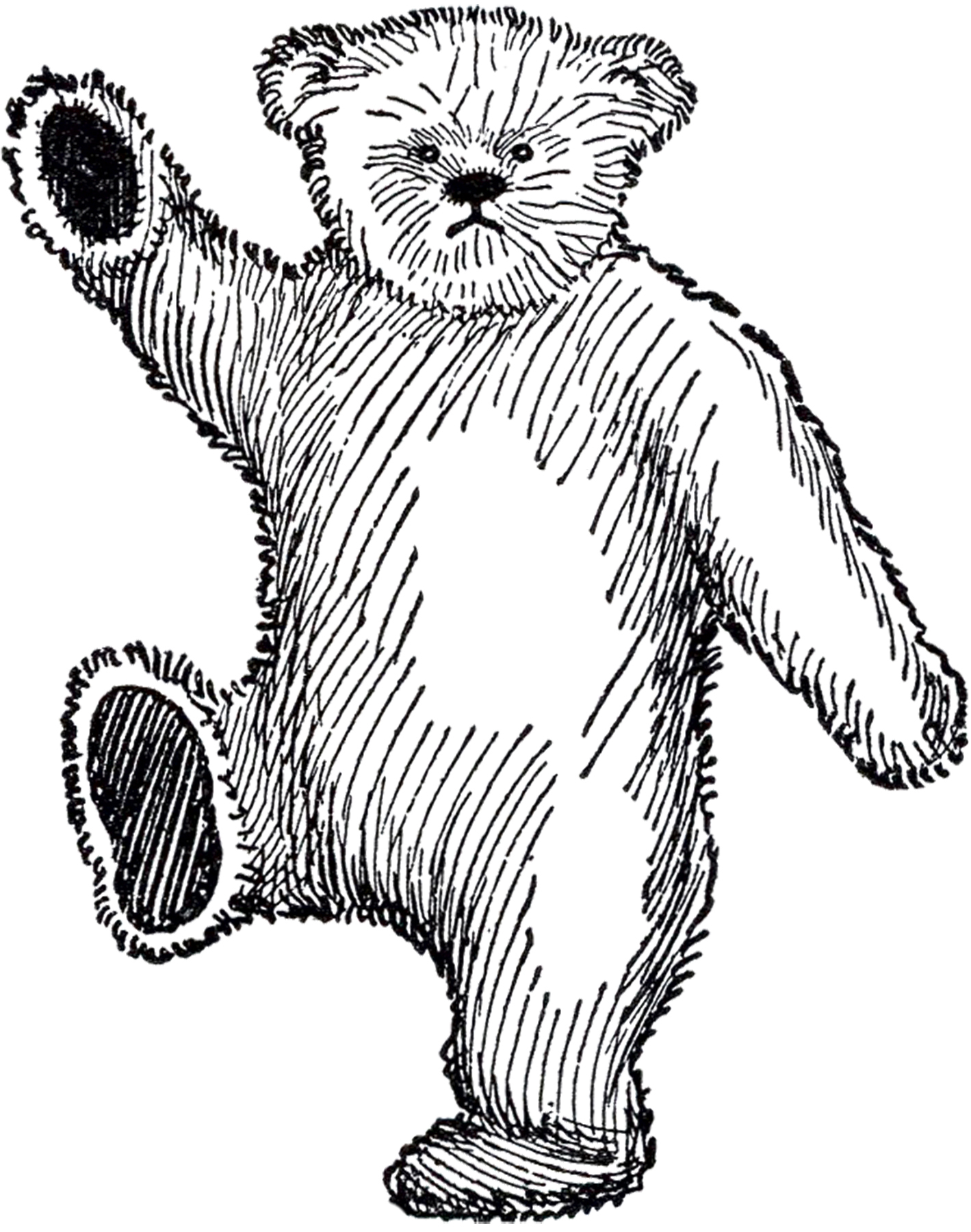 1419x1800 Public Domain Teddy Bear Image
