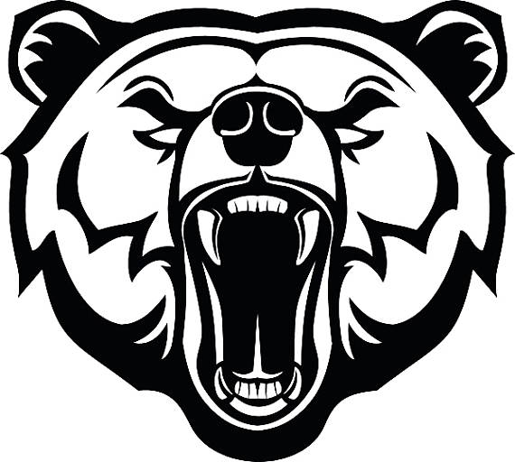 570x512 Grizzly Bear