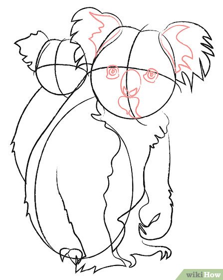 447x560 How To Draw Koala Bears 9 Steps (With Pictures)