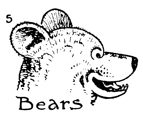 502x413 How To Draw A Bear Face Step By Step