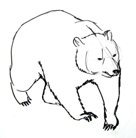 445x452 How To Draw A Brown Bear