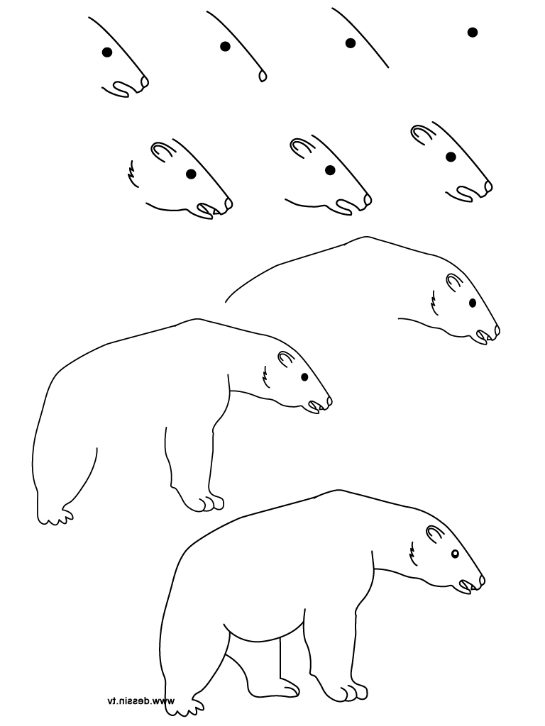 768x1024 How To Draw A Polar Bear Step By Step